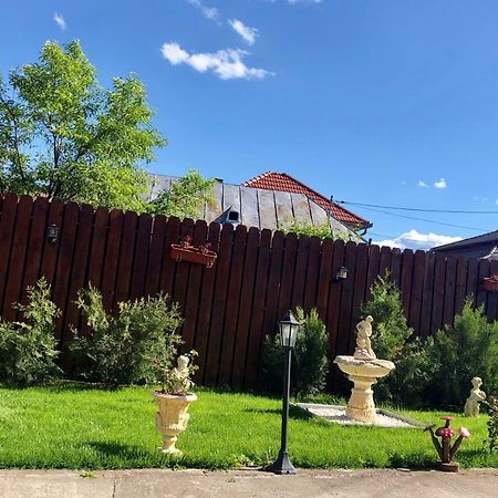 Casa Alexia Hotel Haţeg Exterior foto