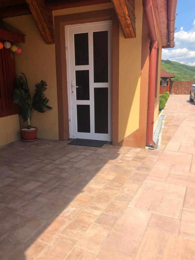 Casa Alexia Hotel Haţeg Exterior foto